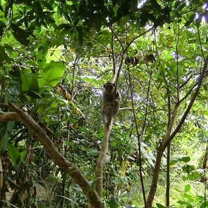 Meet your Posher, Arro